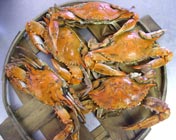 Stevensville Crab Shack Maryland Steamed Crabs